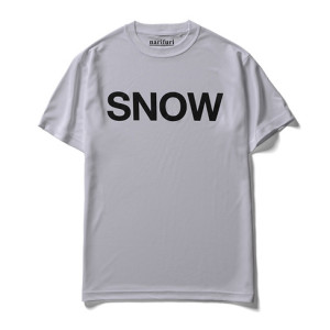 NF813_dryt_snow